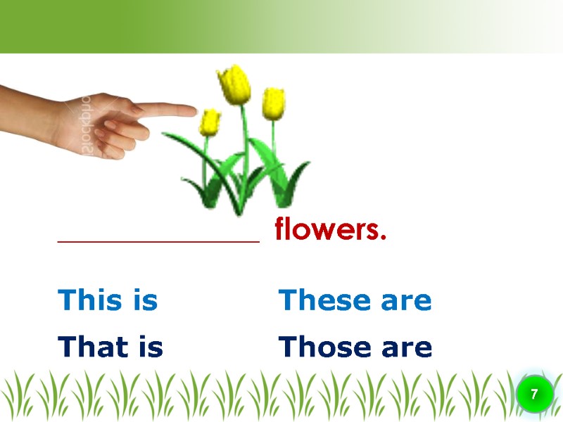 This is ________________  flowers. 7 That is Those are These are